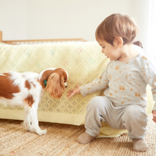 赤ちゃんやペットがいるご家庭にオススメのラグ