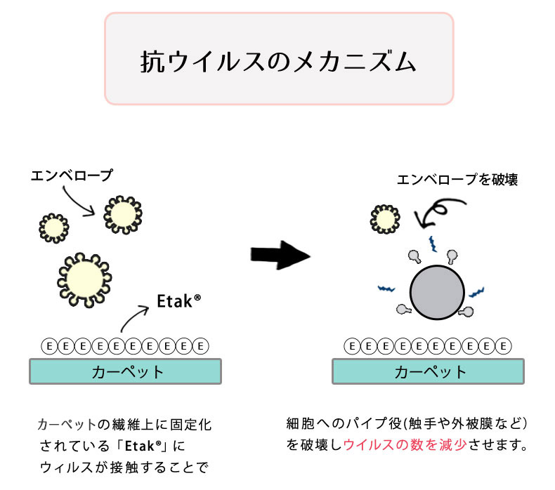 抗ウイルスのメカニズム