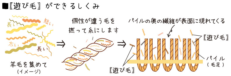 遊び毛】とは